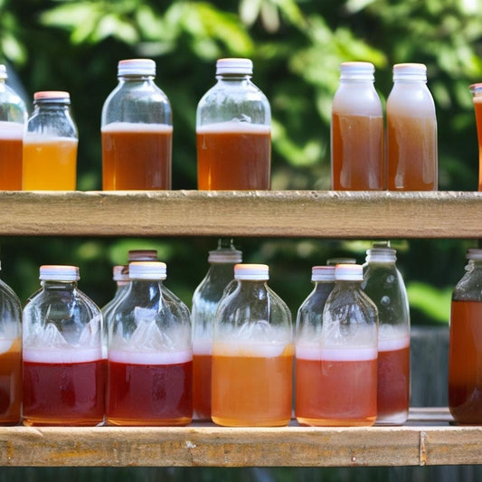 50 kombucha recipe ideas to try at home.